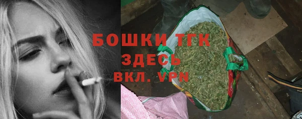 СК Горнозаводск