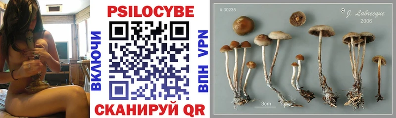 где купить наркоту  ОМГ ОМГ ССЫЛКА  Псилоцибиновые грибы MAGIC MUSHROOMS  Саратов 